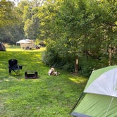 Review photo of Winhall Brook Camping Area by Neal C., July 25, 2021