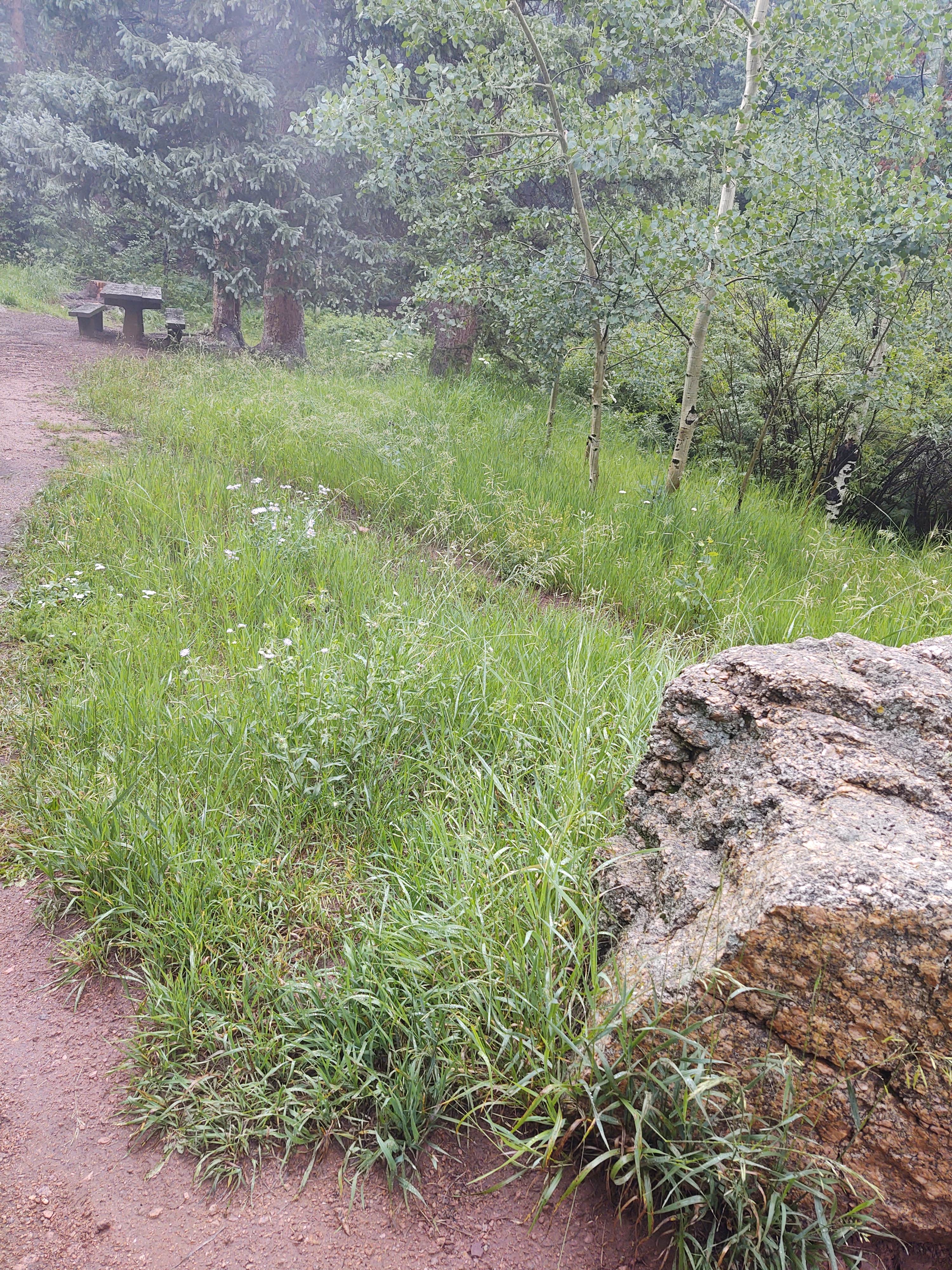 Camping near Davenport Campground: Ophir Creek Campground (Co) — Psicc, Beulah, Colorado