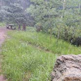 Review photo of Ophir Creek Campground (Co) — Psicc by Liz C., July 25, 2021