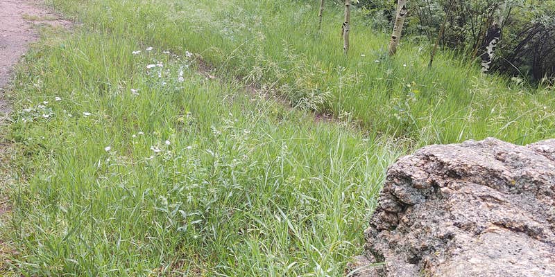 Camper submitted image from Ophir Creek Campground (Co) — Psicc