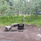 Review photo of Ophir Creek Campground (Co) — Psicc by Liz C., July 25, 2021