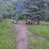 Review photo of Ophir Creek Campground (Co) — Psicc by Liz C., July 25, 2021