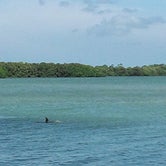 Review photo of Shell Key by Steve S., July 18, 2016