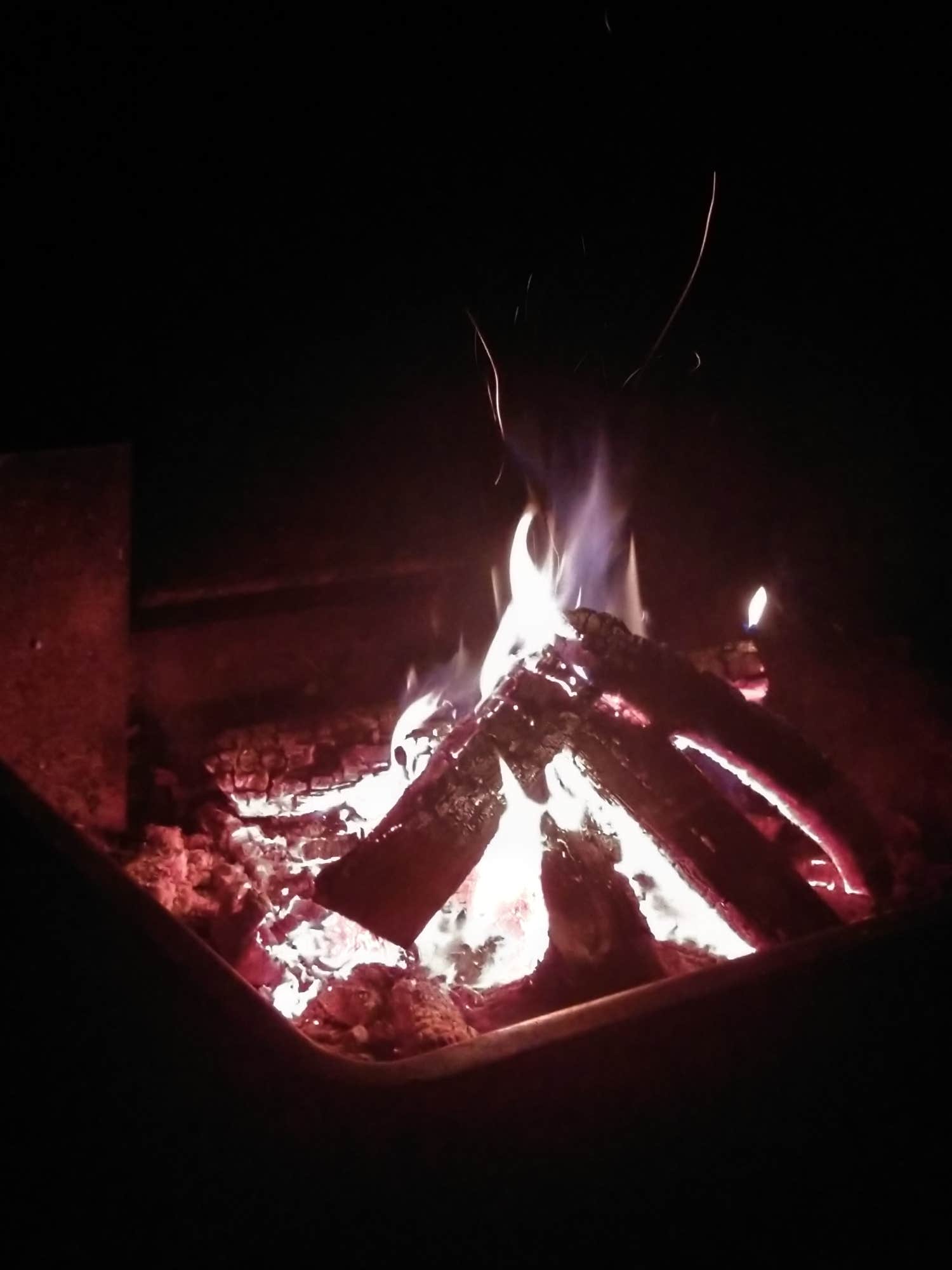 Camper submitted image from Buescher State Park Campground - 4