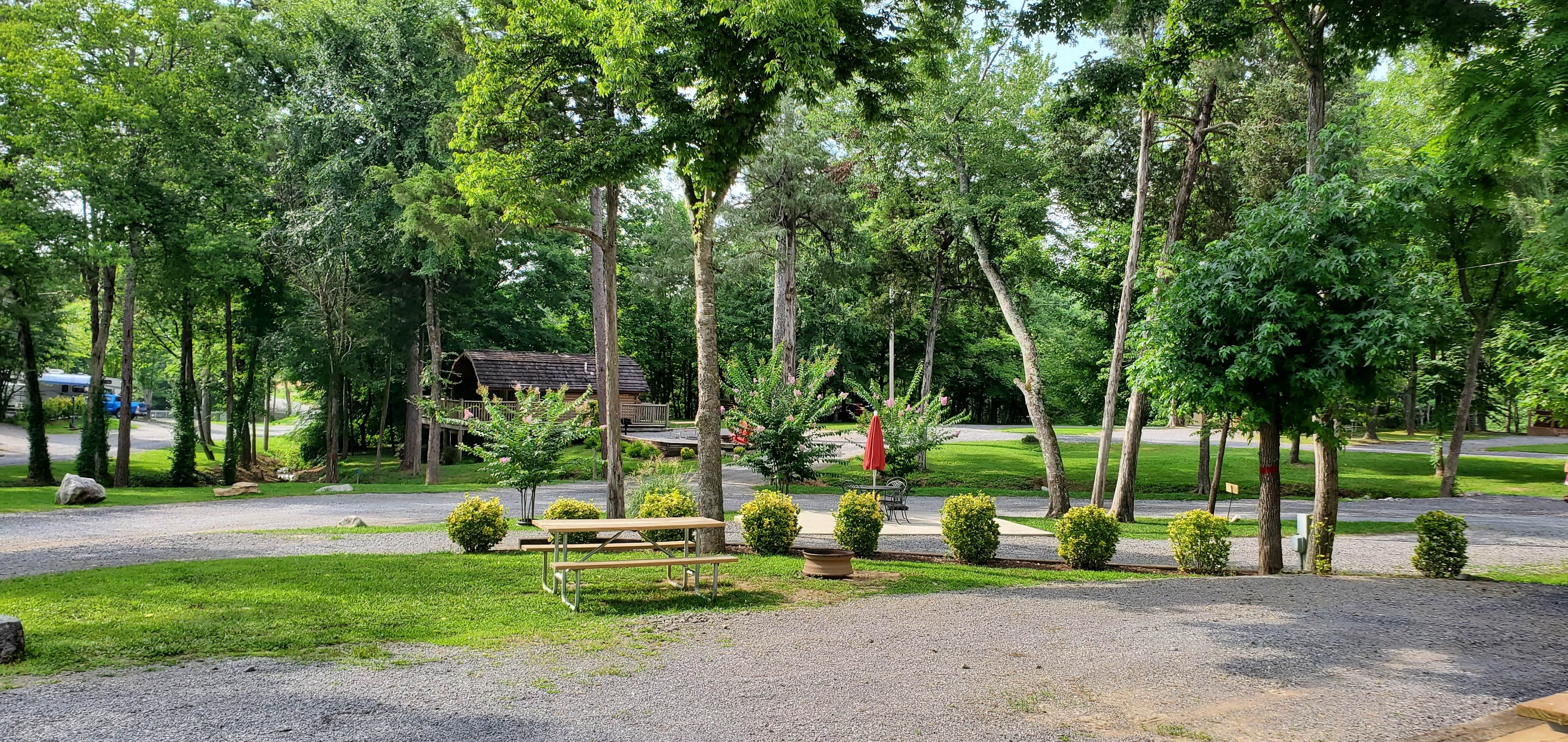 Camper submitted image from Chattanooga North-Cleveland KOA - 1