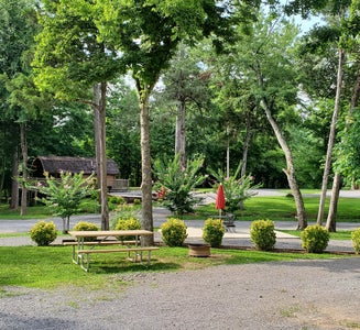 Camper-submitted photo from Chattanooga North-Cleveland KOA