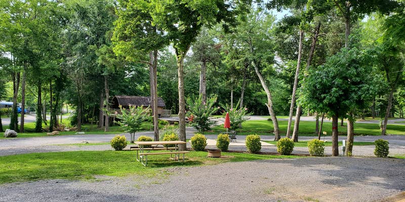 Camper submitted image from Chattanooga North-Cleveland KOA