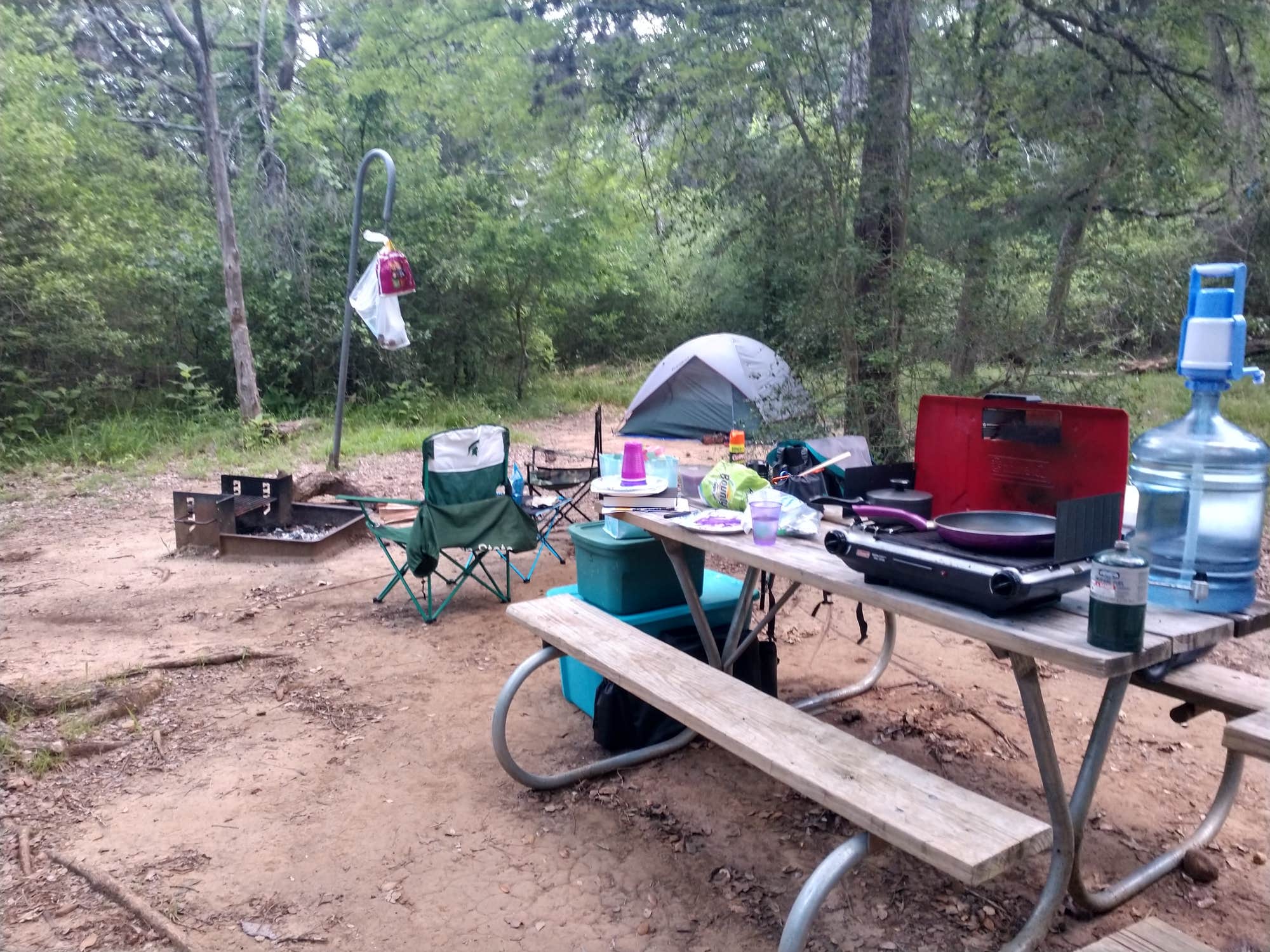 Haleigh A.'s photo at Buescher State Park Campground near Schulenburg, TX