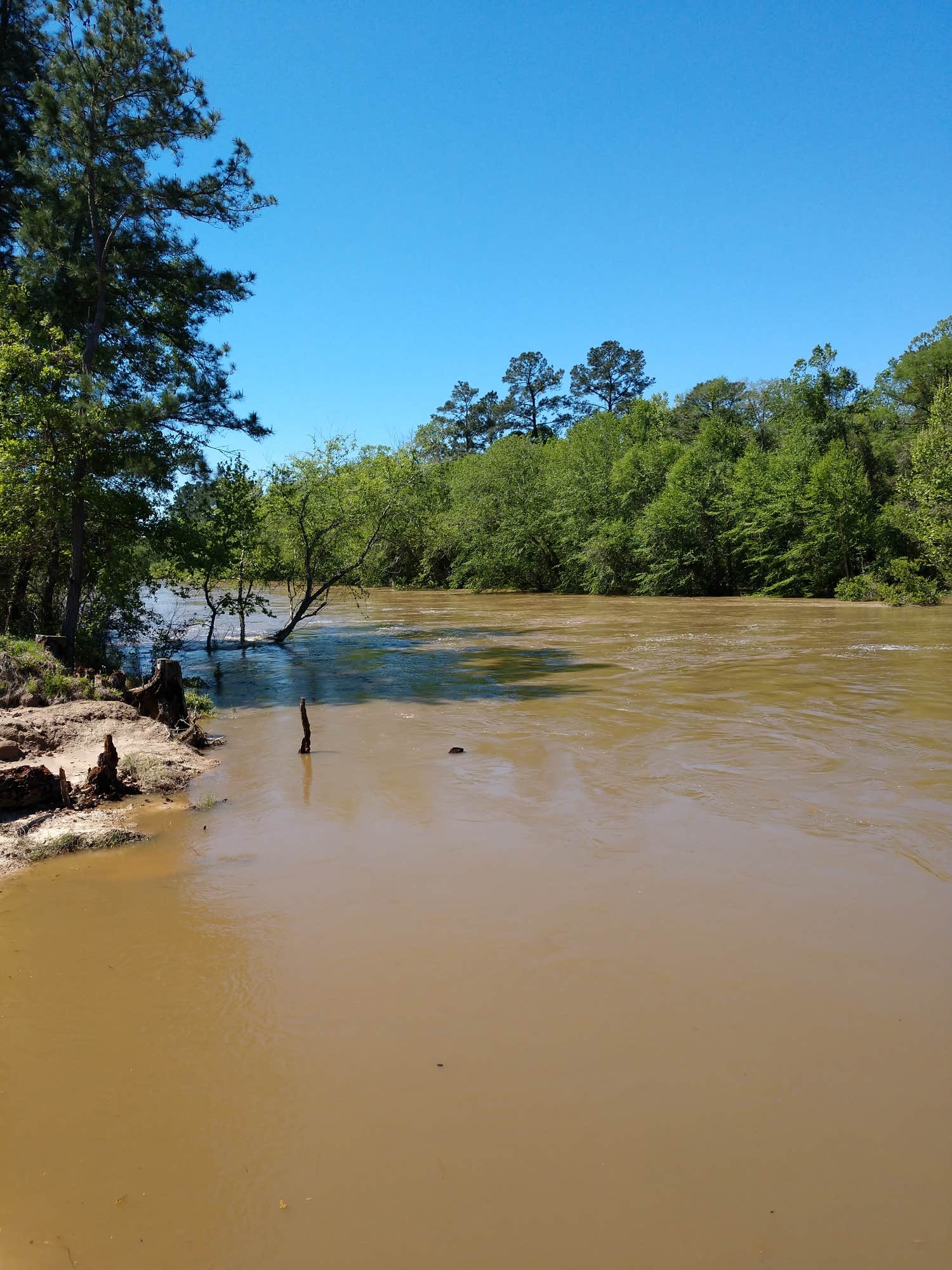 Camper submitted image from Lake Houston Wilderness Park - 2