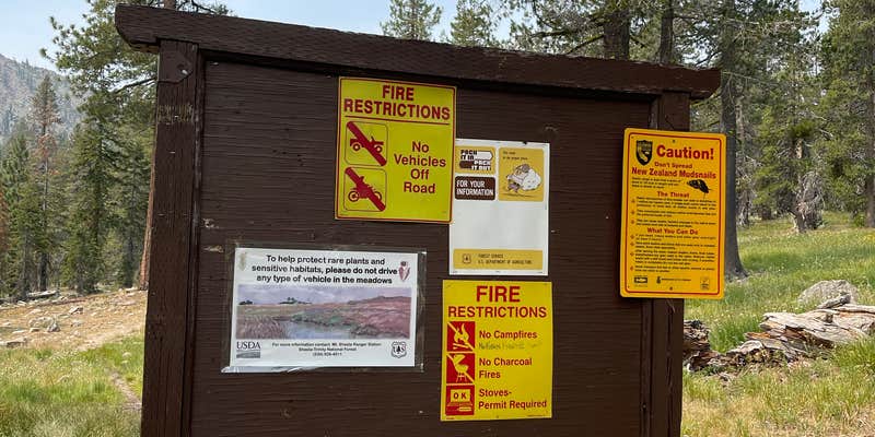 Camper submitted image from Toad Lake Campground