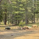 Review photo of Toad Lake Campground by Adam H., July 25, 2021