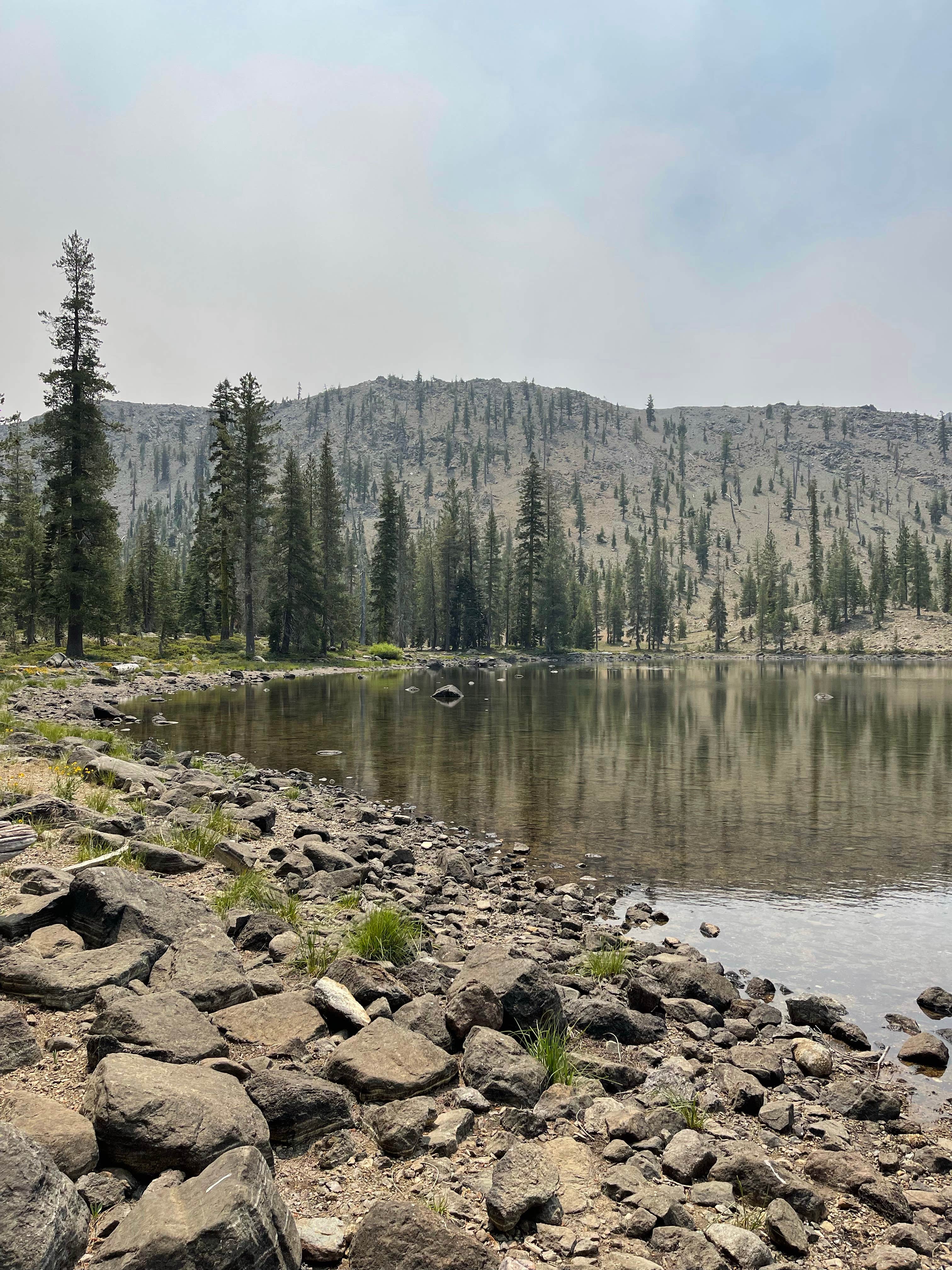 Camper submitted image from Toad Lake Campground - 4