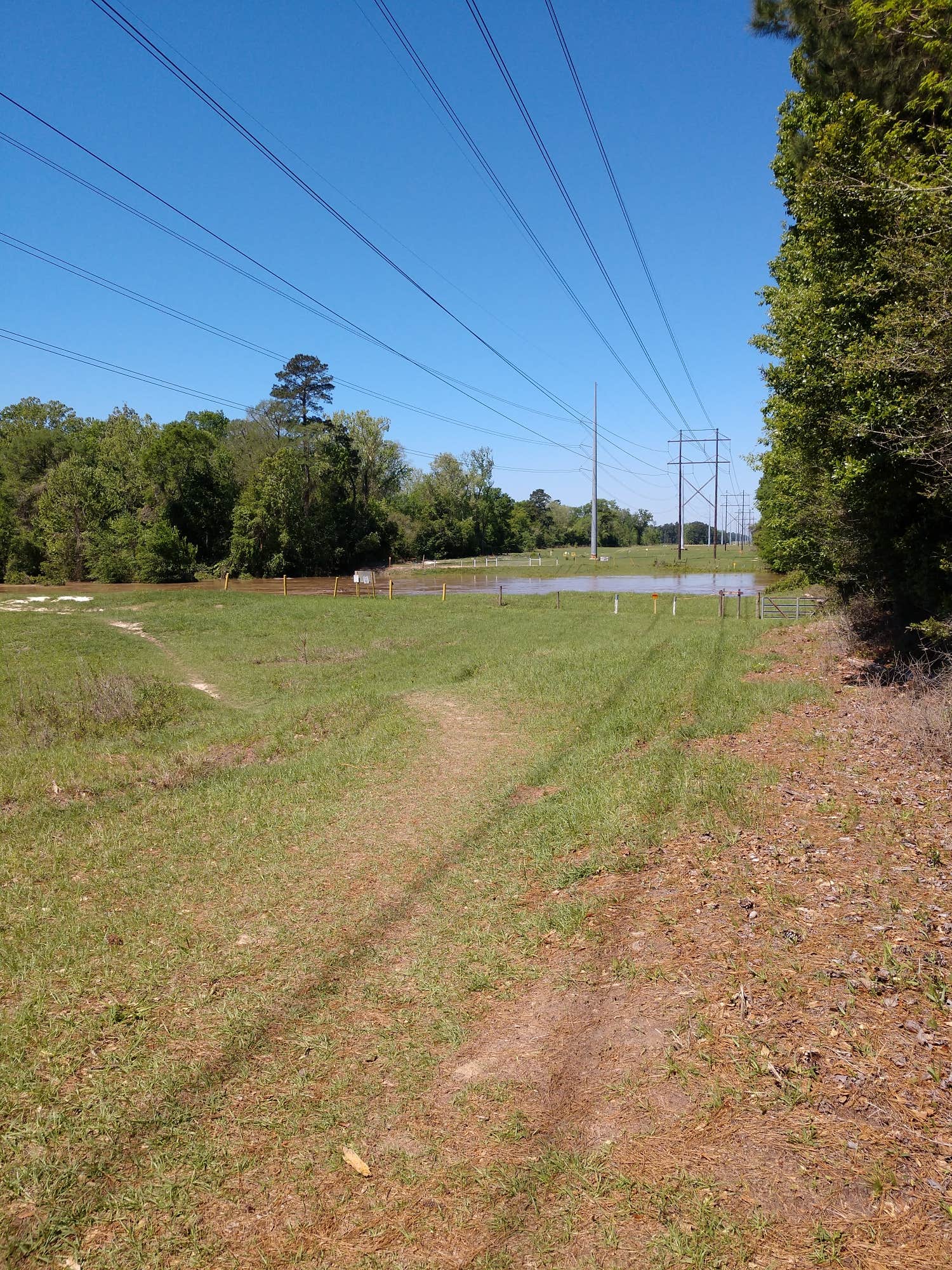 Camper submitted image from Lake Houston Wilderness Park - 3