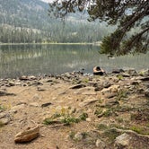 Review photo of Toad Lake Campground by Adam H., July 25, 2021