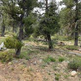 Review photo of Toad Lake Campground by Adam H., July 25, 2021