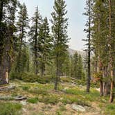 Review photo of Toad Lake Campground by Adam H., July 25, 2021