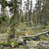 Review photo of Toad Lake Campground by Adam H., July 25, 2021