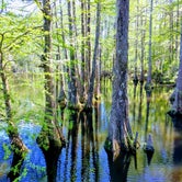 Review photo of Lake Houston Wilderness Park by Haleigh A., June 16, 2018
