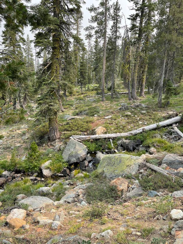 Toad Lake Campground The Dyrt