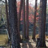 Review photo of Lake Wateree State Park Campground by Swain K., June 16, 2018