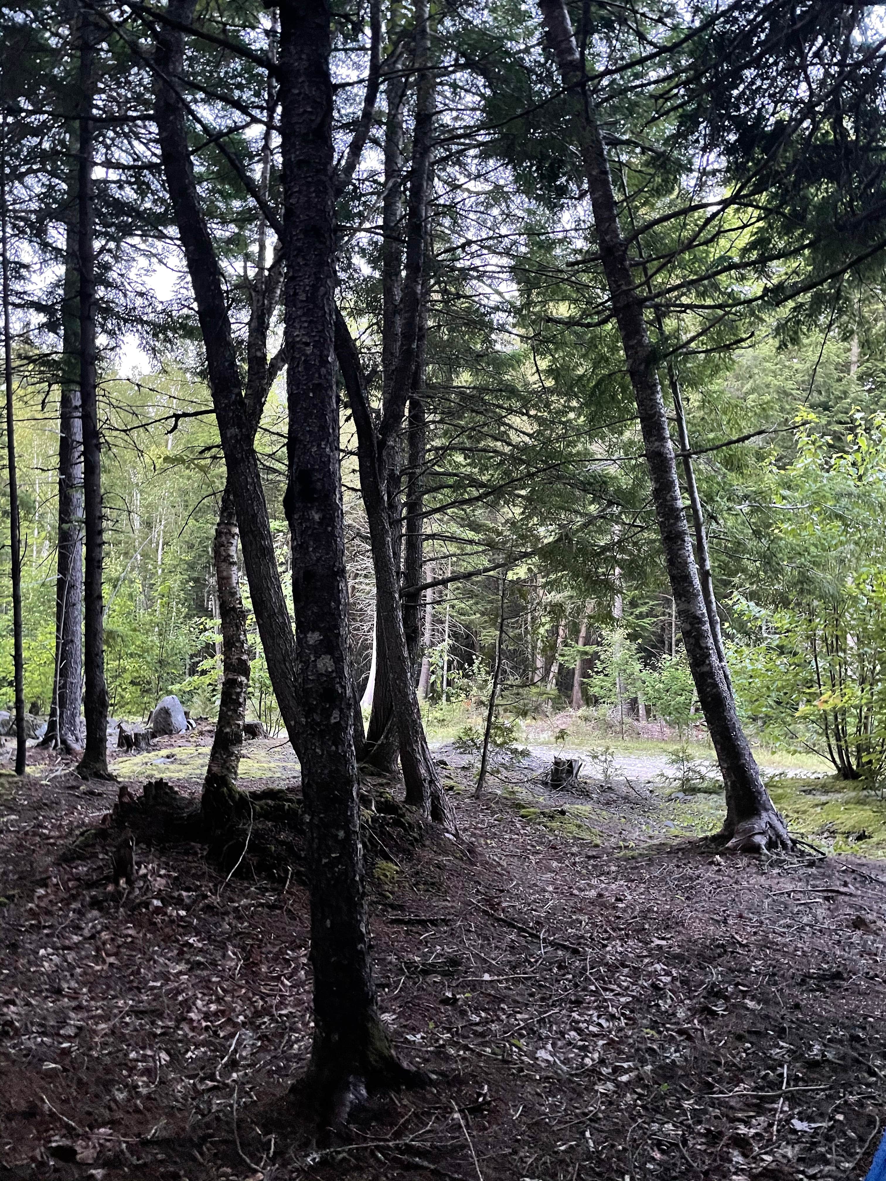 Camping near Fair Head — Cutler Coast Ecological Reserve: South Bay on Rocky Lake, Whitneyville, Maine