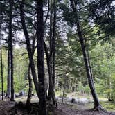 Review photo of South Bay on Rocky Lake by Mark M., July 25, 2021