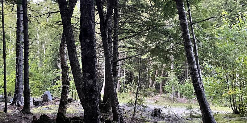 Camper submitted image from South Bay on Rocky Lake