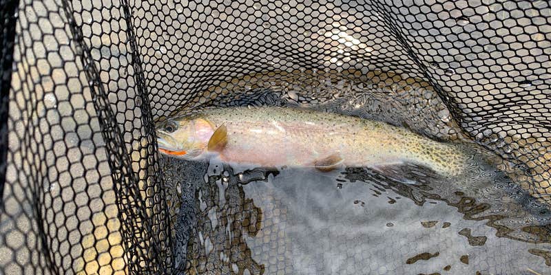 Camper submitted image from River's Fork Lodge & RV Park