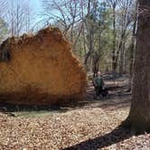 Review photo of Lake Wateree State Park Campground by Swain K., June 16, 2018