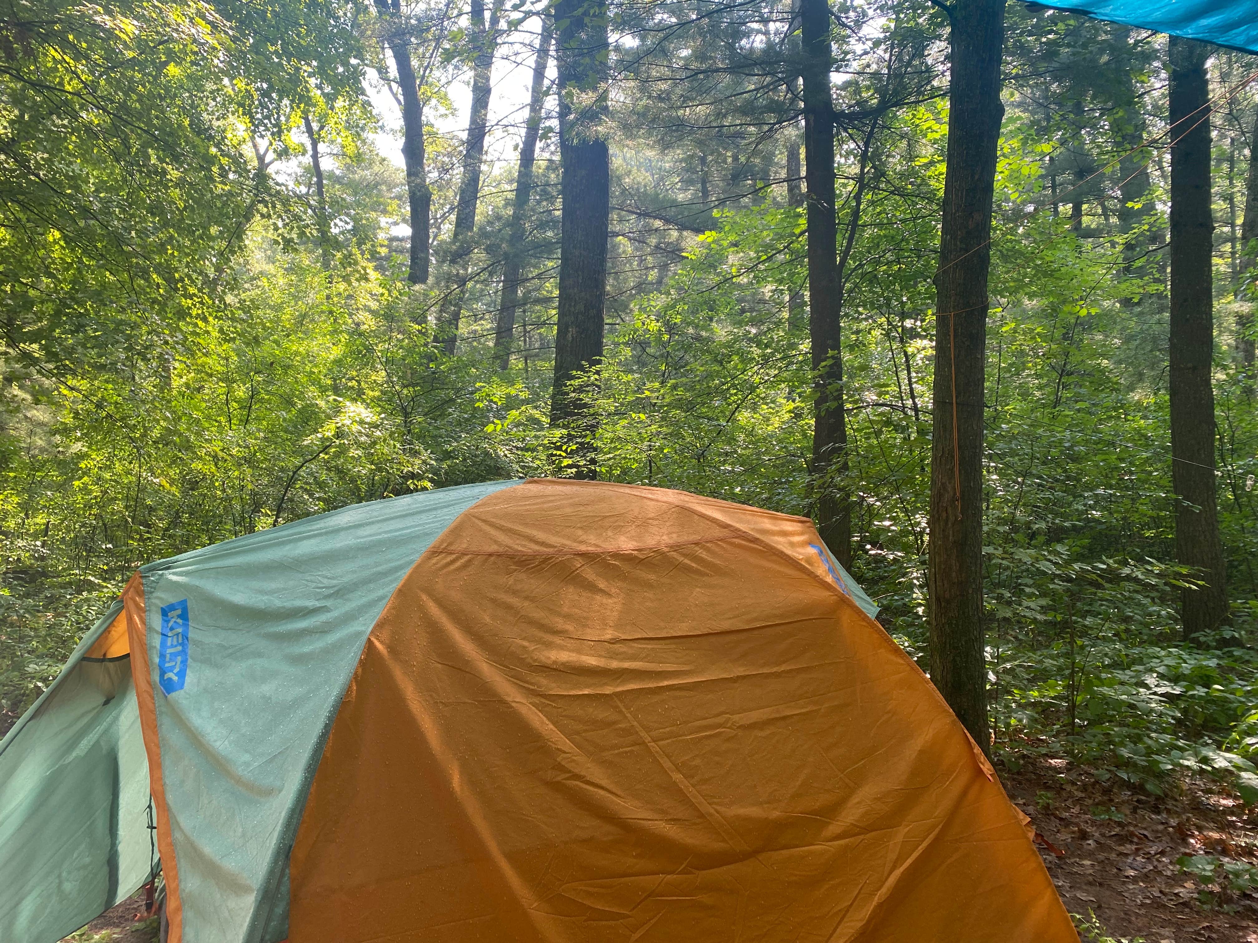 Courtney H.'s photo at Roche A Cri State Park Campground near Necedah, WI