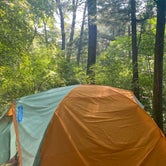 Review photo of Roche A Cri State Park Campground by Courtney H., July 25, 2021