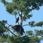 Review photo of Mecosta Pines Campground by Wilma S., July 25, 2021