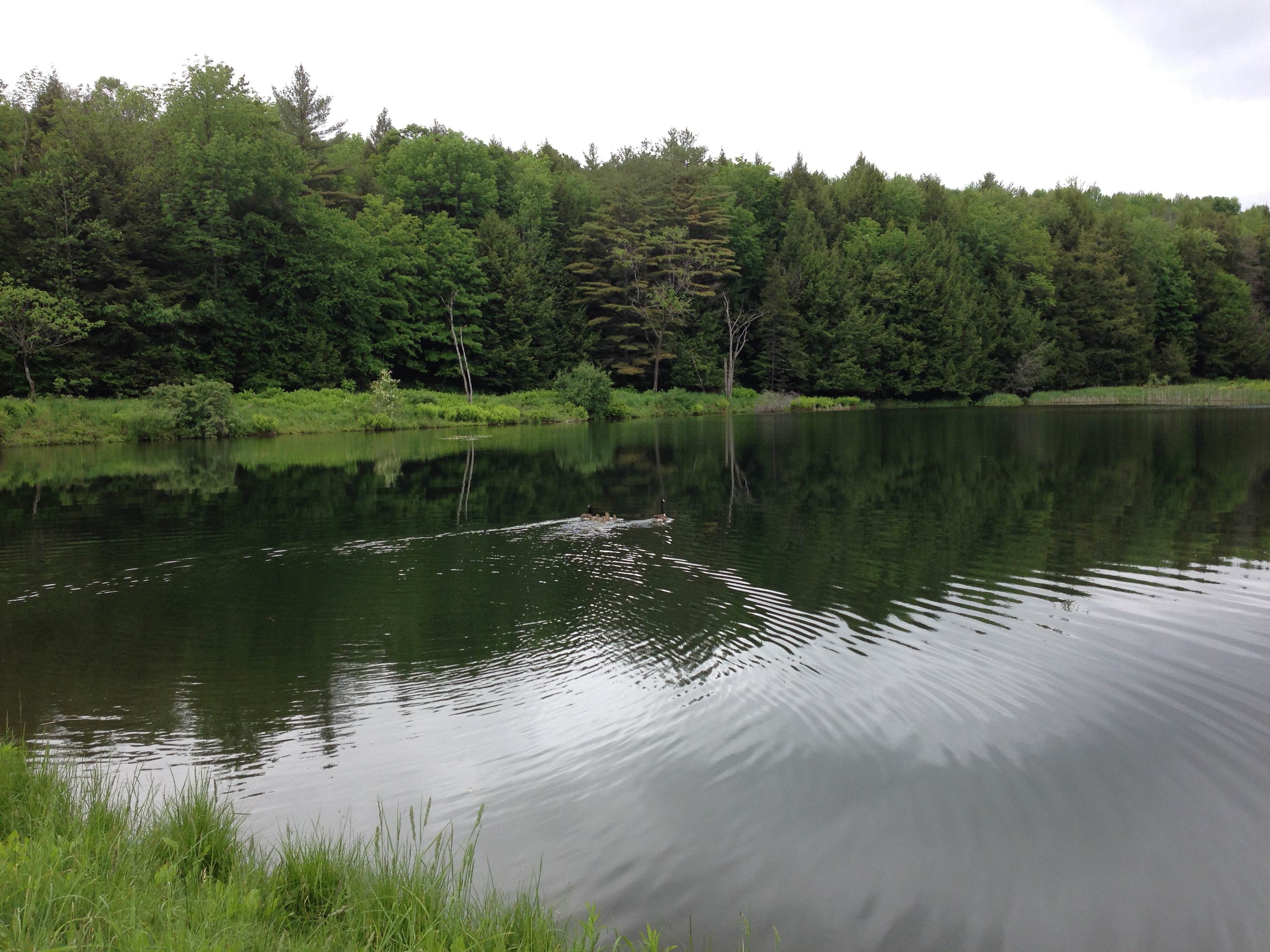 Camper submitted image from Silver Lake State Park Campground - 4