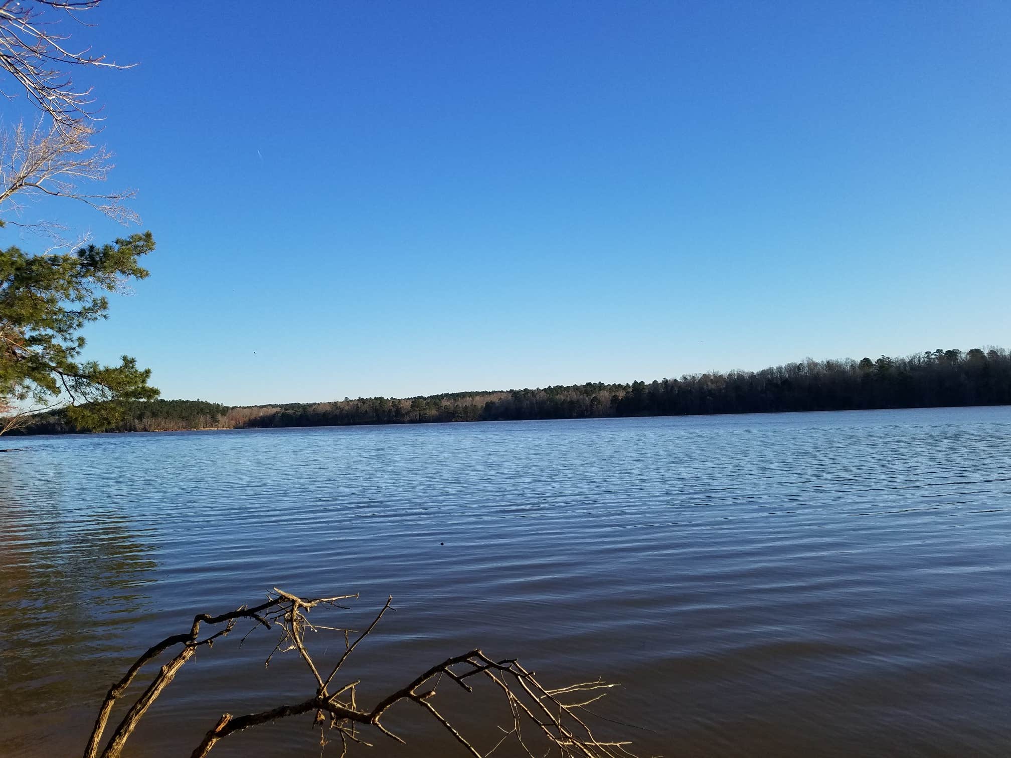 Camper-submitted photo at Lake Wateree State Park Campground near State Park, SC