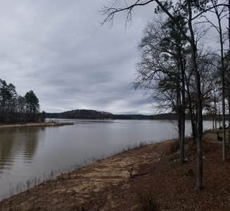 Camper-submitted photo from Modoc - J Strom Thurmond Lake