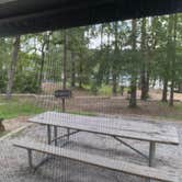 Review photo of Jack Hill State Park by David Glenn M., July 26, 2021