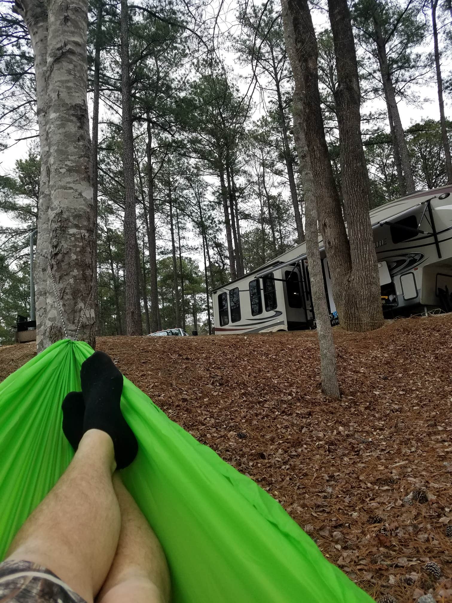 Camper submitted image from Elijah Clark State Park Campground - 3