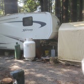 Review photo of Emerald Forest Cabins & RV by Sean P., July 26, 2021