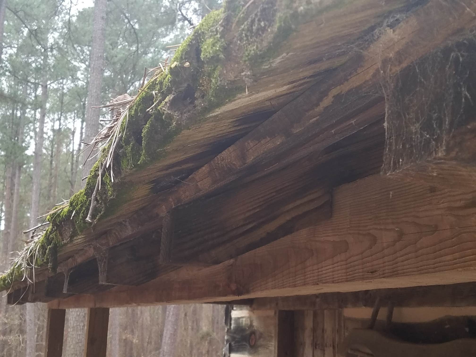 Elijah Clark State Park The Dyrt