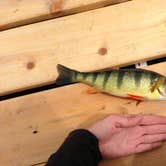 Review photo of Silver Lake State Park Campground by Savannah C., July 18, 2016