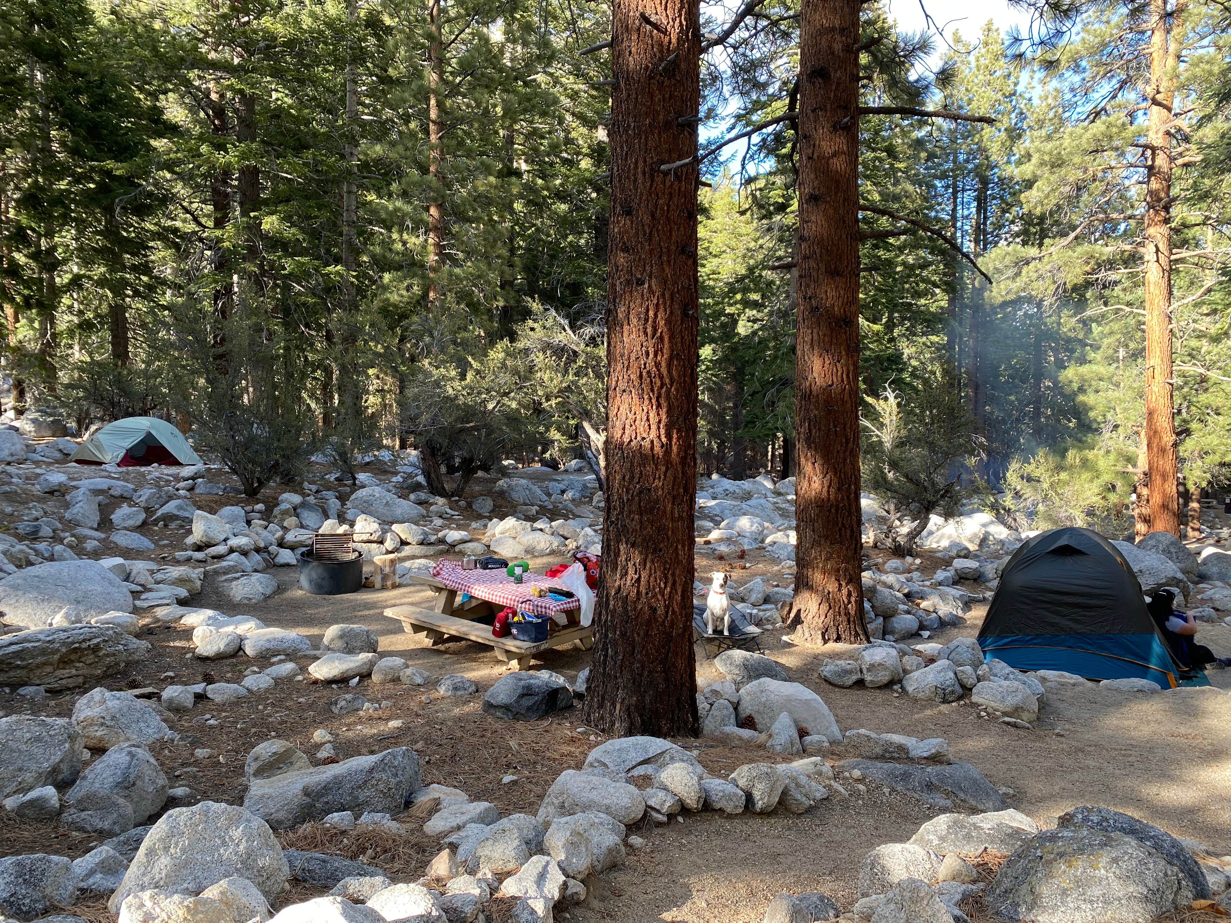 Esther Y.'s photo at Whitney Portal near Seven Pines, CA