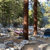 Review photo of Whitney Portal by Esther Y., July 26, 2021