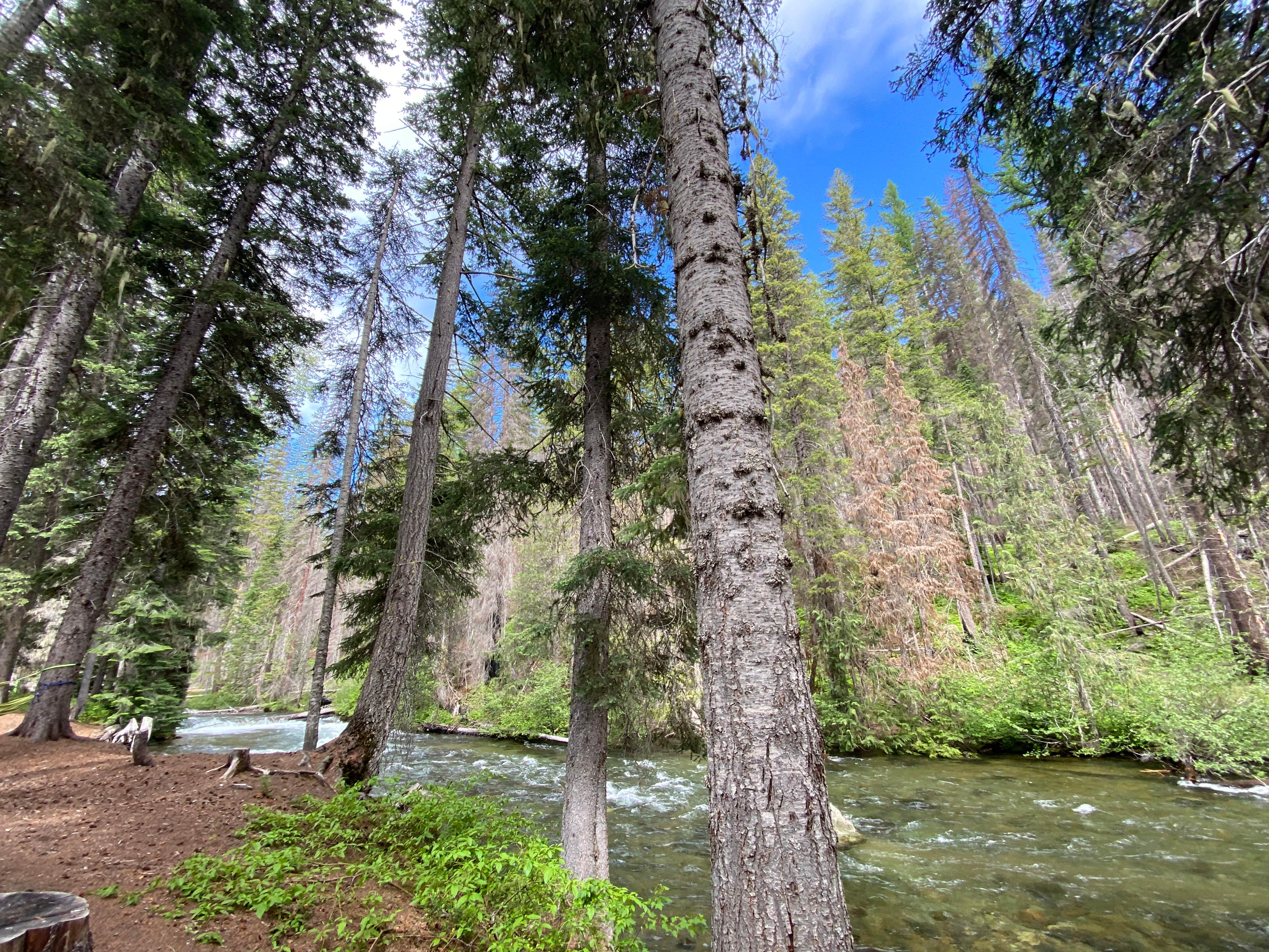 Bumping Lake Campground The Dyrt