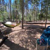 Review photo of Little Yosemite Valley Campground by Esther Y., July 26, 2021