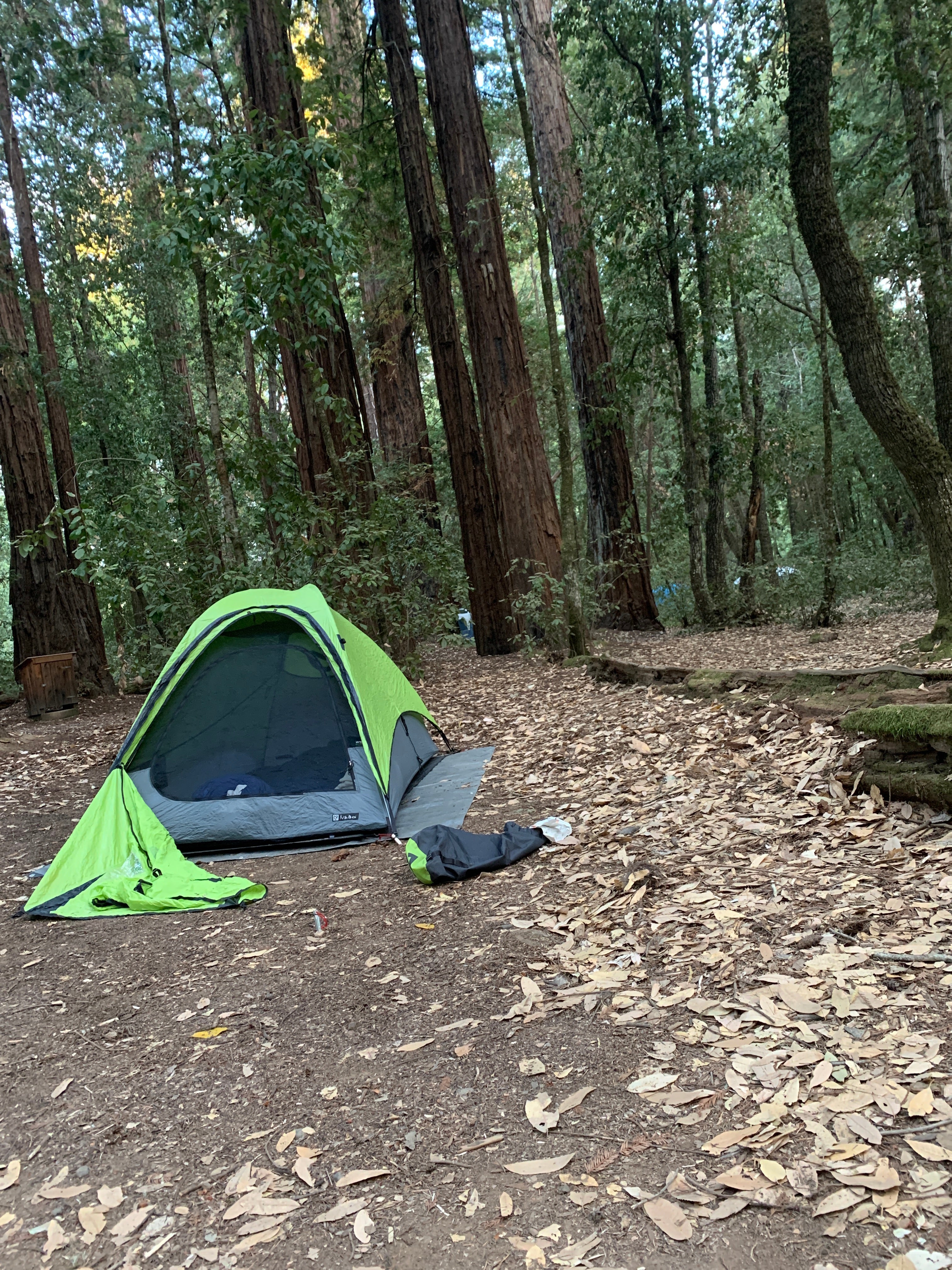 Camper submitted image from Paul M. Demmick Campground — Navarro River Redwoods State Park - 1