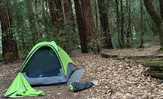 Adrian T.'s photo of tent camping at Paul M. Demmick Campground — Navarro River Redwoods State Park near Little River, CA