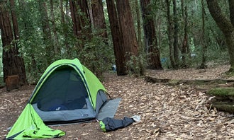 Camping near Buckridge Grove: Paul M. Demmick Campground — Navarro River Redwoods State Park, Navarro, California