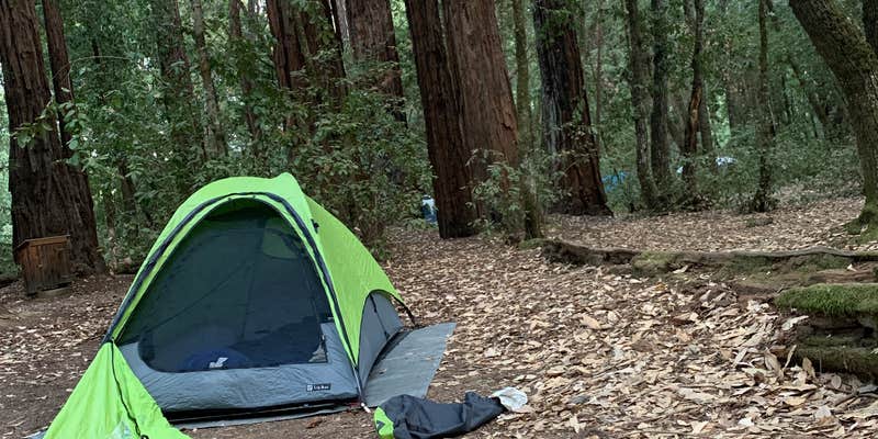 Camper submitted image from Paul M. Demmick Campground — Navarro River Redwoods State Park