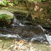 Review photo of Hickory Run Family Camping Resort by John S., July 26, 2021