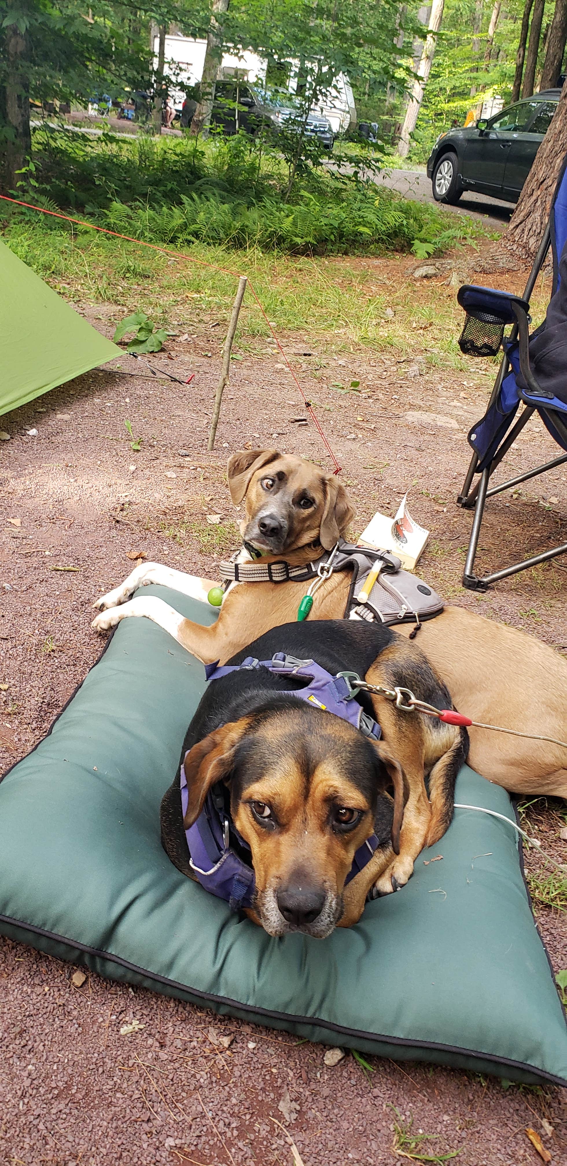 John S.'s photo at Hickory Run Family Camping Resort near Reading, PA